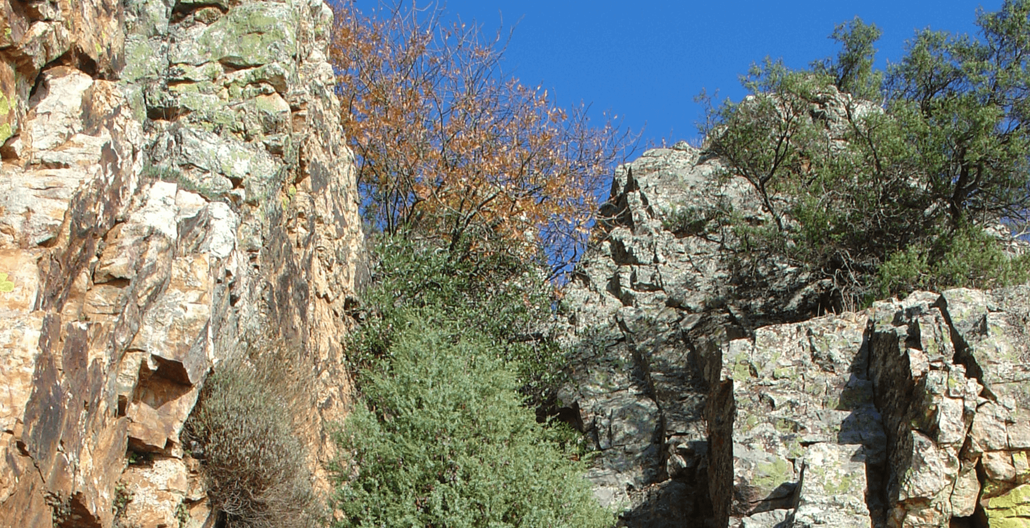 artigo_portas_rodao_interior_6