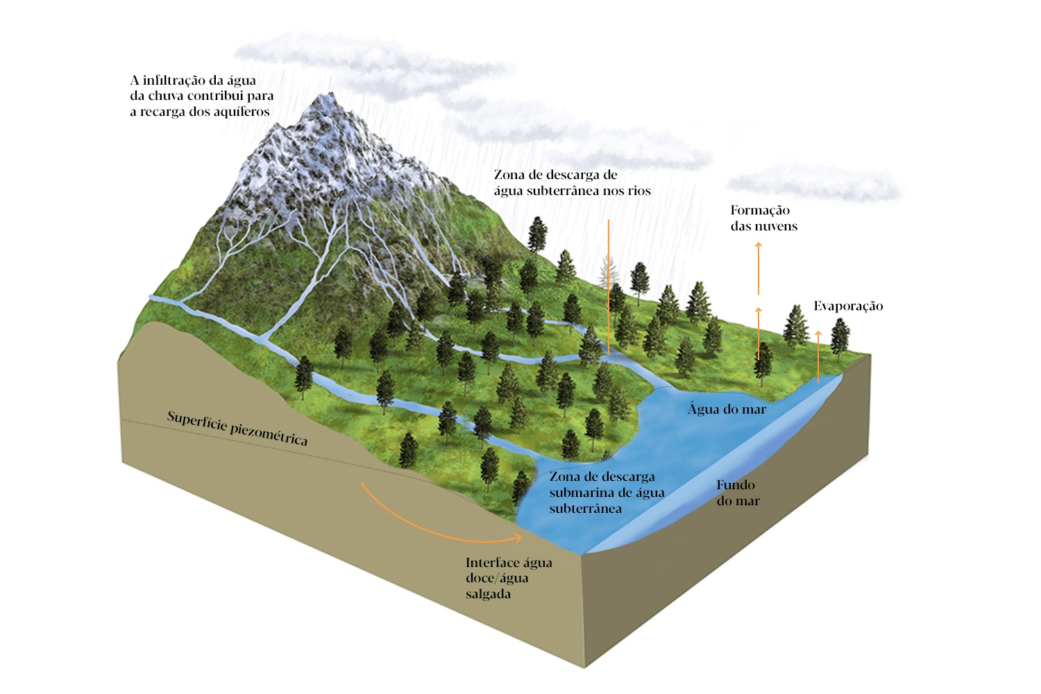 grafico_agua