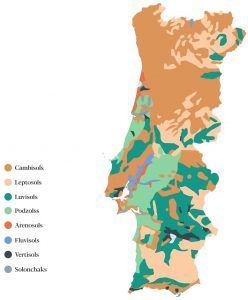 Gráfico Estudo do Solo