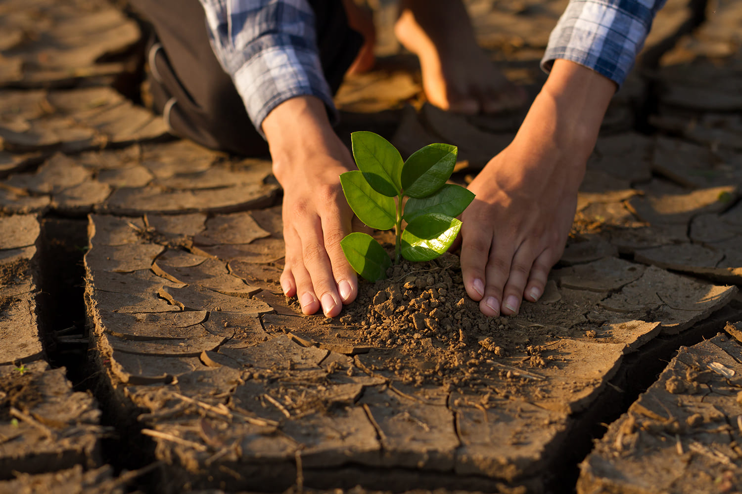 6.º Relatório do IPCC: impactes, adaptação e vulnerabilidade às alterações climáticas