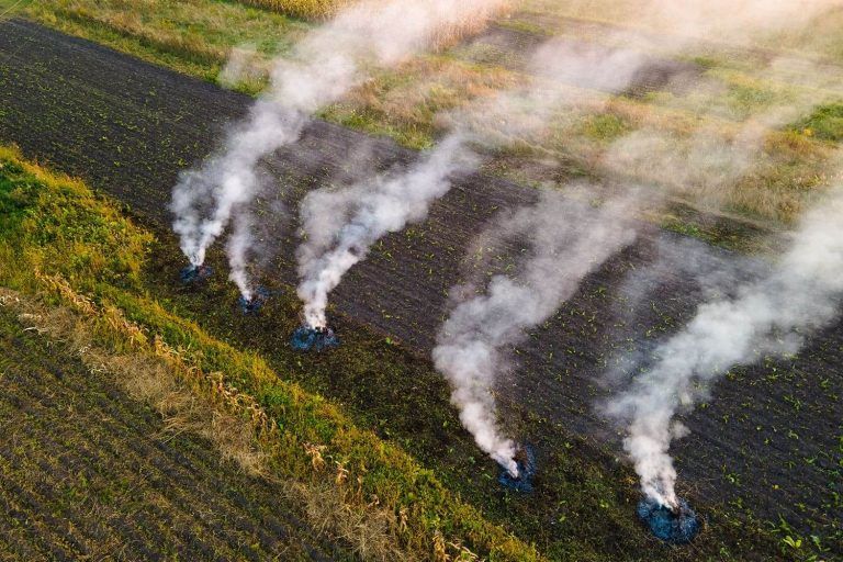 Uso do fogo em Portugal da tradição à técnica Florestas.pt