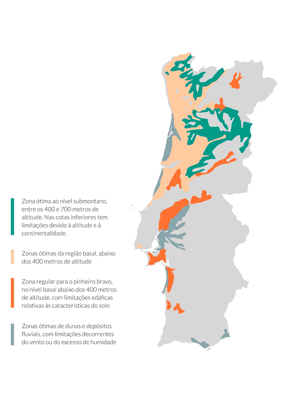 Falta de madeira em Portugal