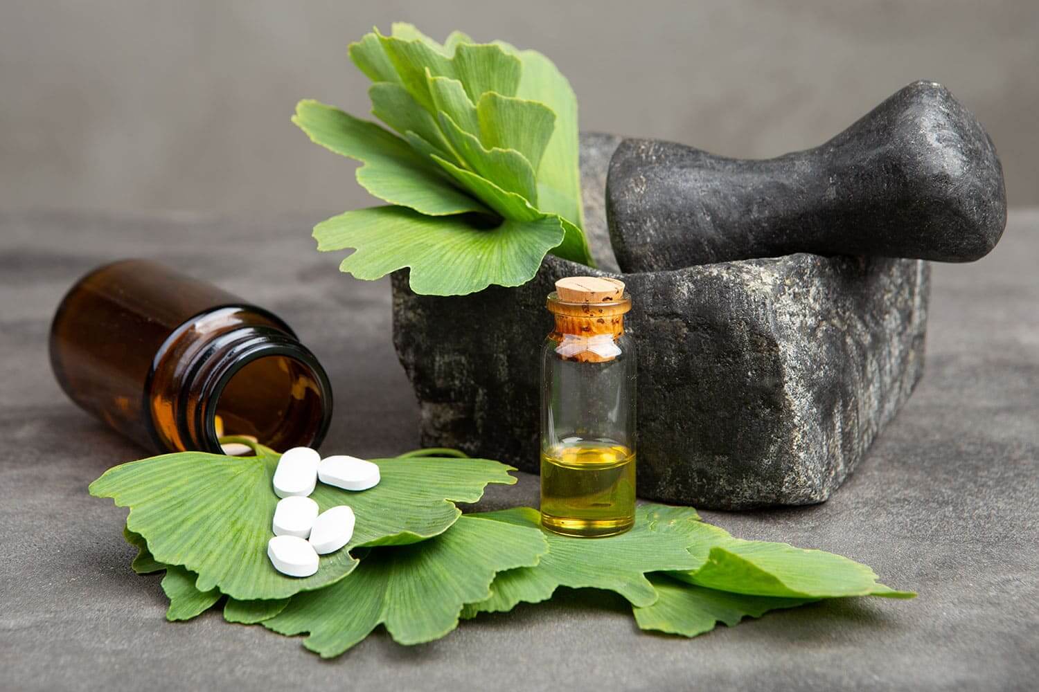 imagem-interior_Arvores-com-historia_5_VF