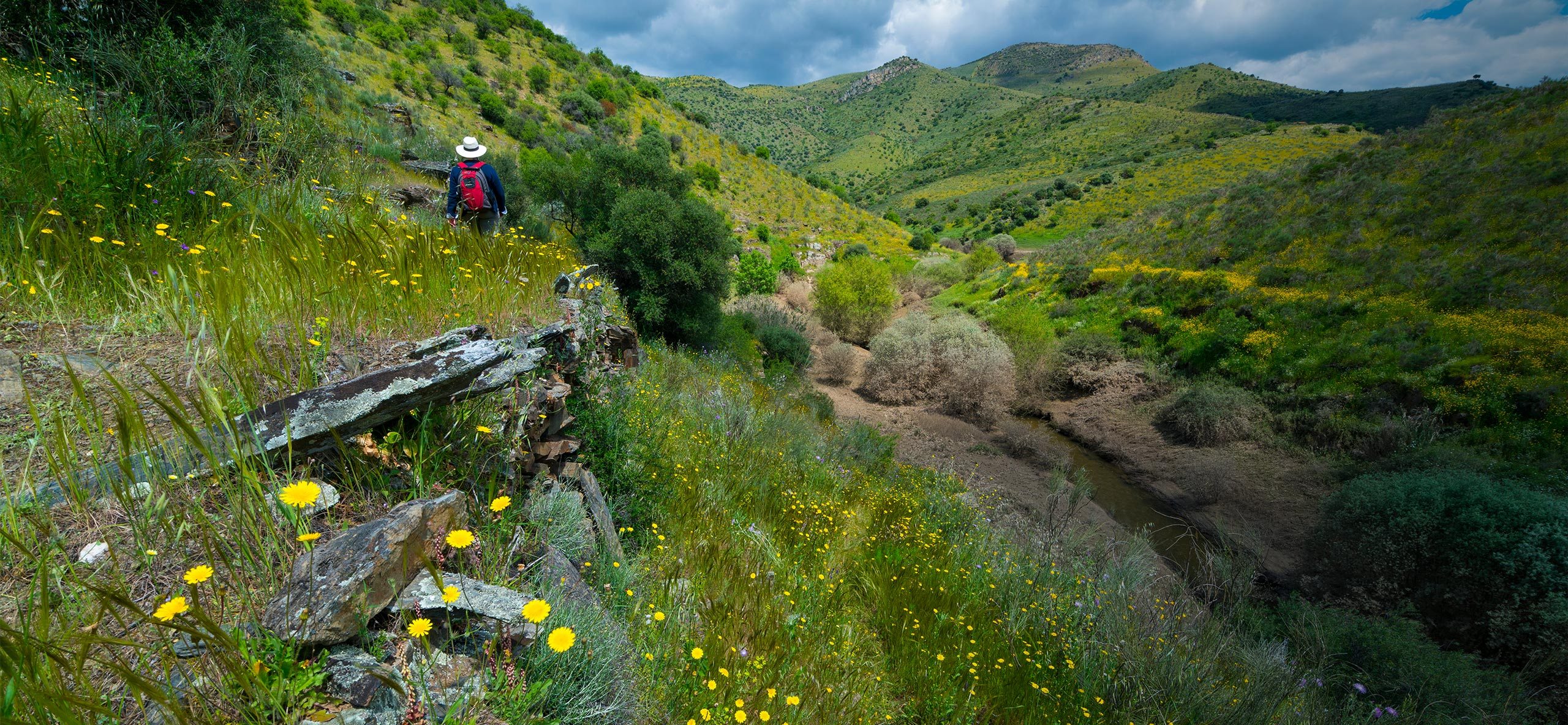 Florestas – Conhecer, valorizar e cuidar da floresta portuguesa