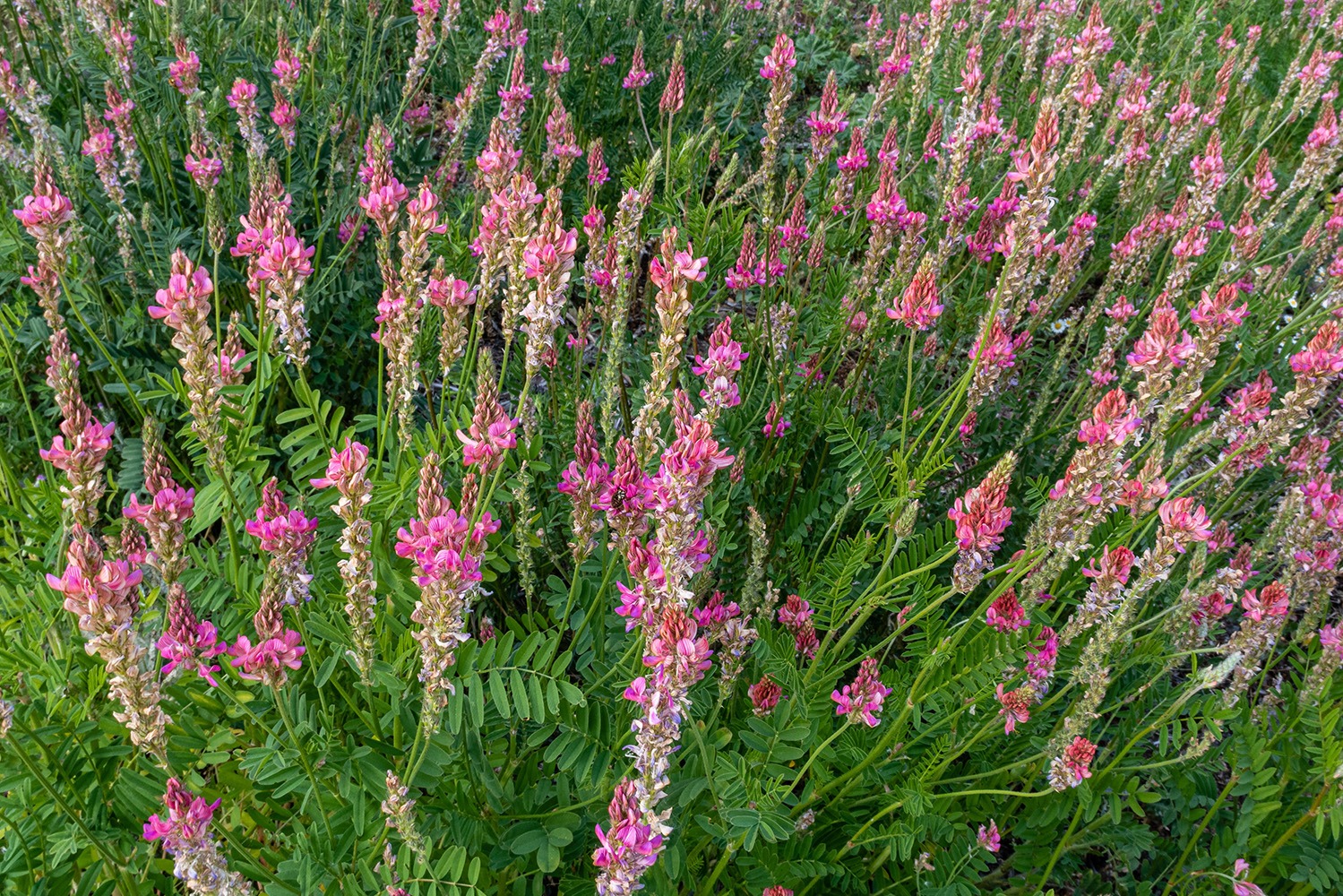 Interior_Cores_Naturais_10