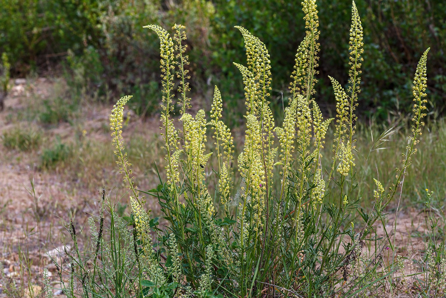 Interior_Cores_Naturais_4