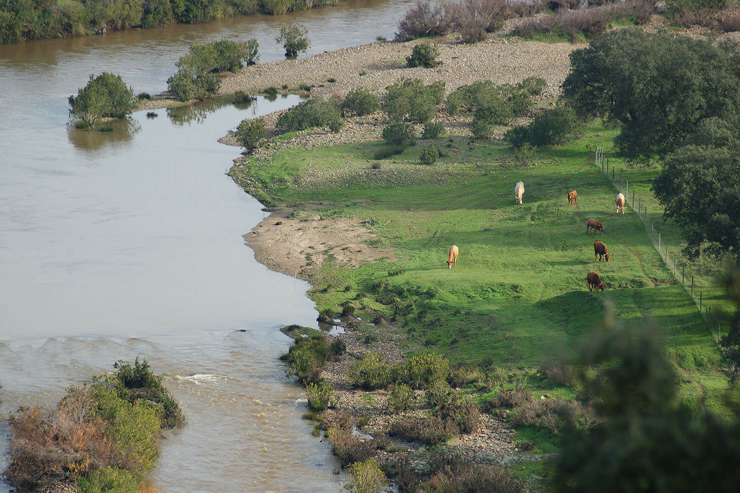 Parque Natureza de Noudar