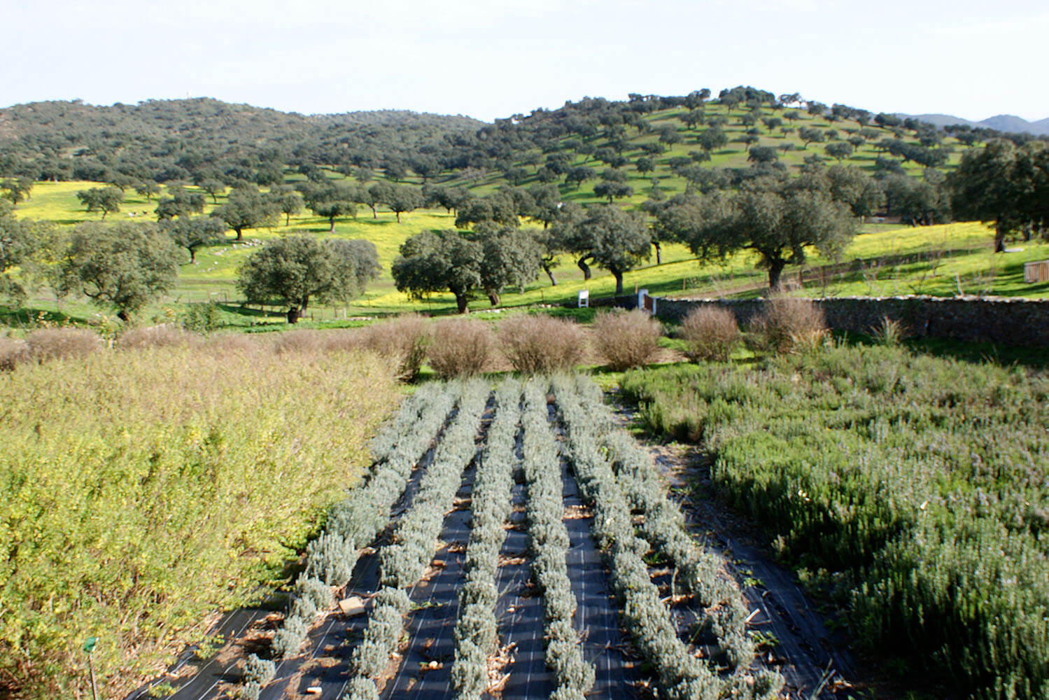 Parque Natureza de Noudar