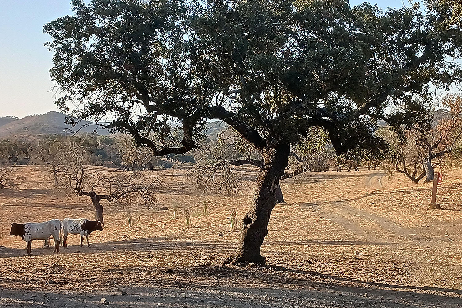 Parque Natureza de Noudar