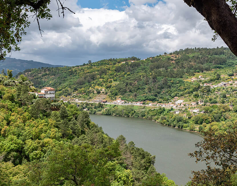 O uso múltiplo da floresta inclui produtos e serviços