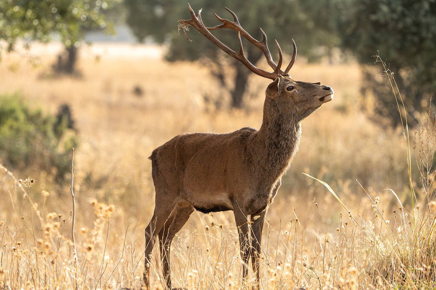 Parque Natureza de Noudar