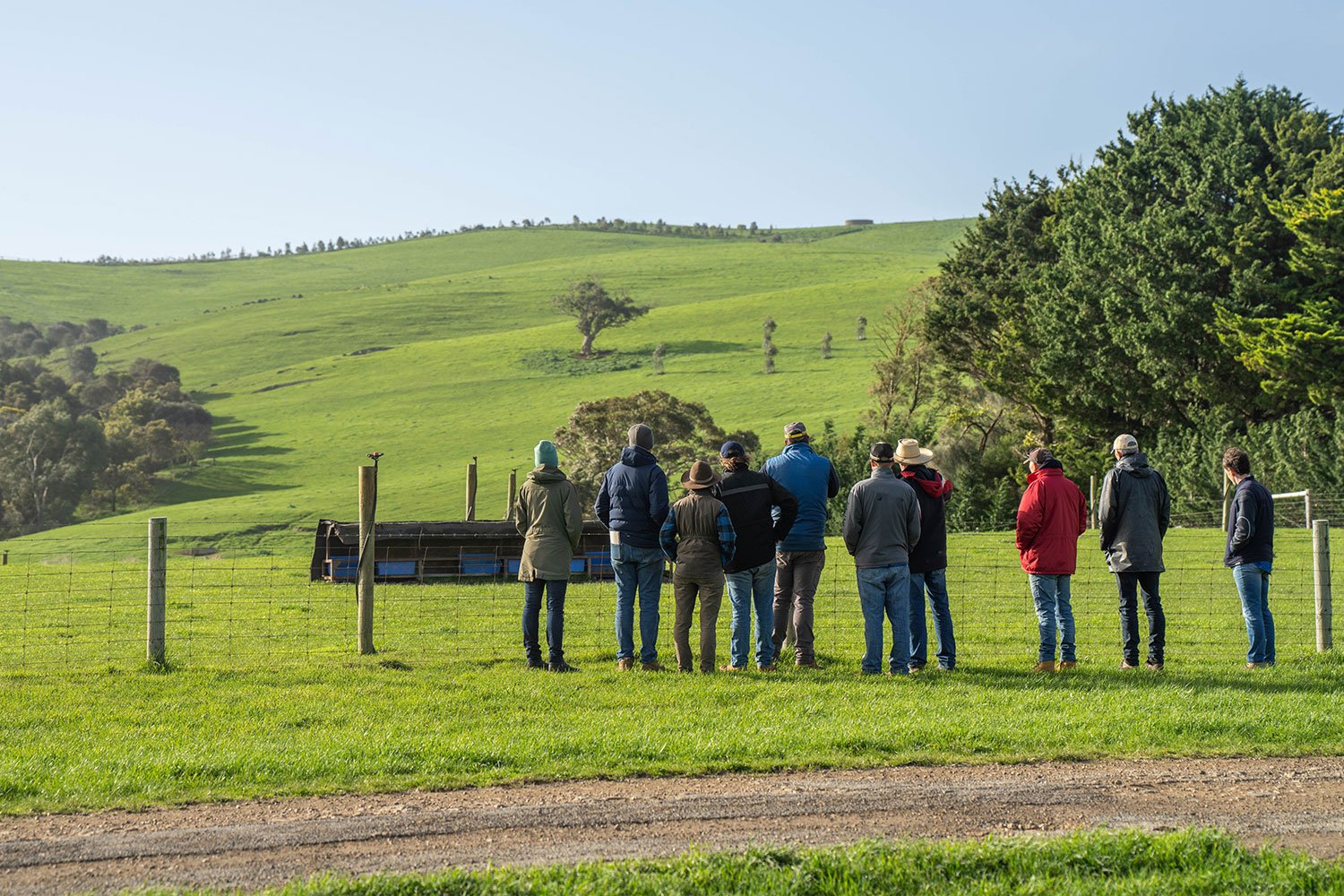 Projetos de inovação e desenvolvimento rural: candidaturas até inícios de 2025