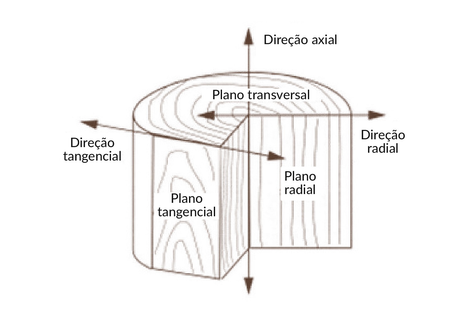 Interior_3_propriedades_da_madeira