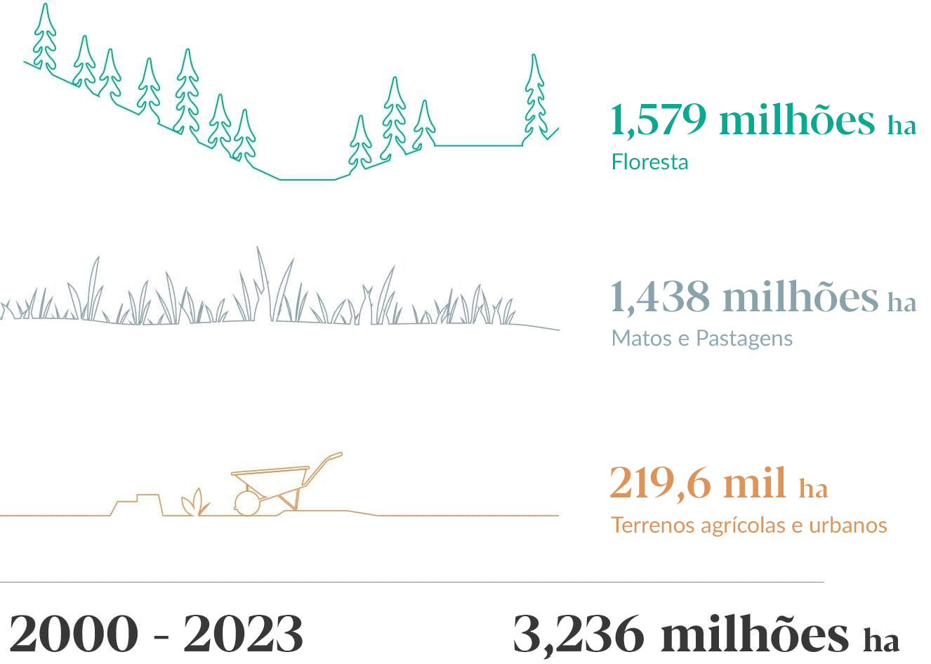 Área ardida em Portugal 2020 a 2023