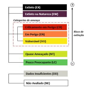 Interior_2_descobrir_extincao