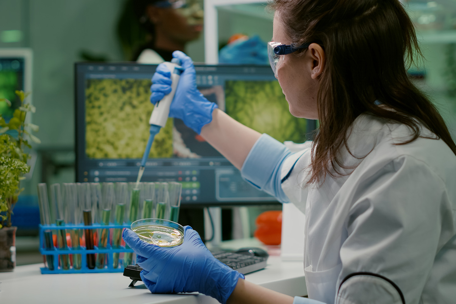 Genética molecular permitiu aos taxonomias identificar as espécies pelo seu ADN