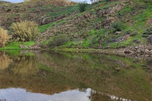 Restauro fluvial num troço da Ribeira de Odeleite removeu açude de Galaxes