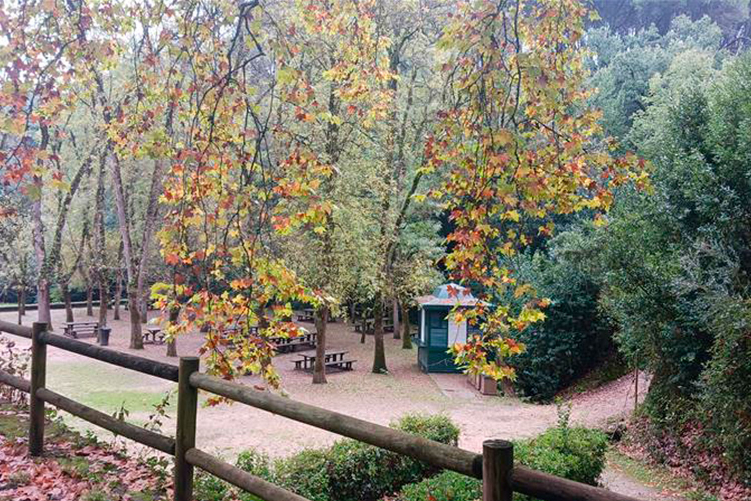 Interior_6_Piquenique na natureza