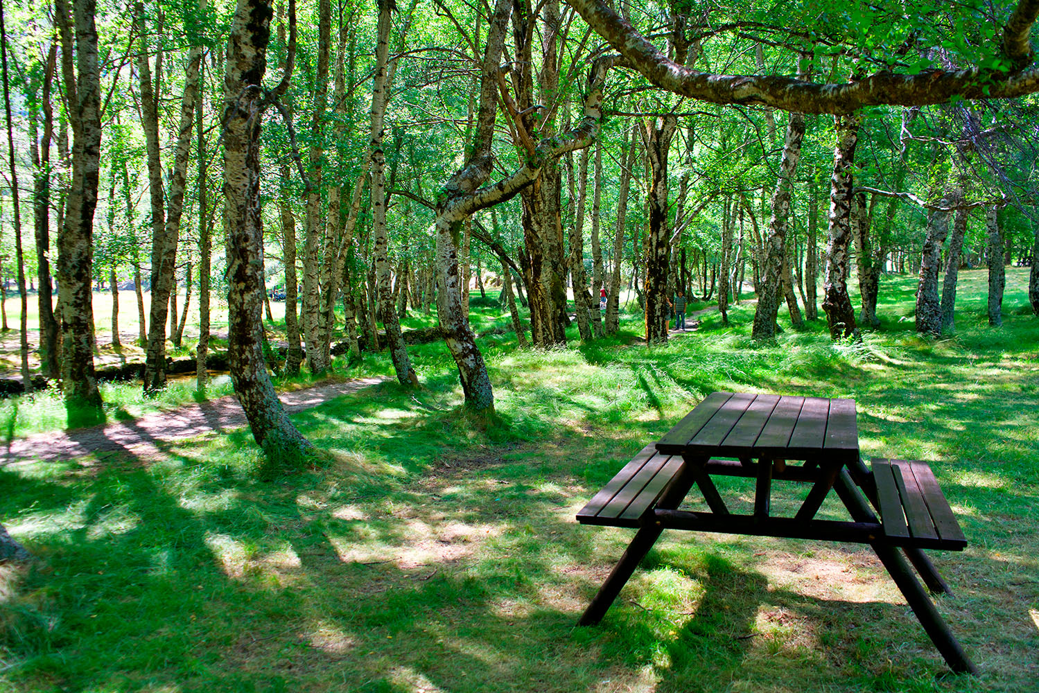 Interior_7_Piquenique na natureza