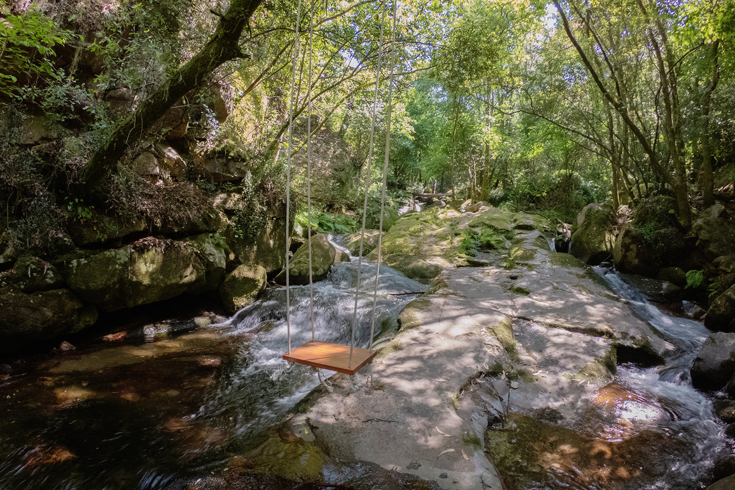 Interior_9_baloicos
