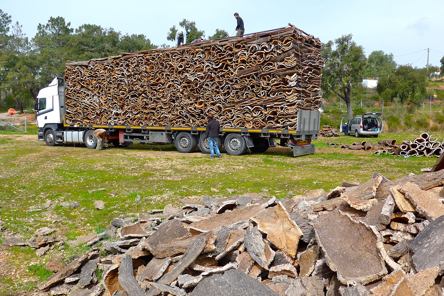 Interior_3_exportacao_florestal_2024