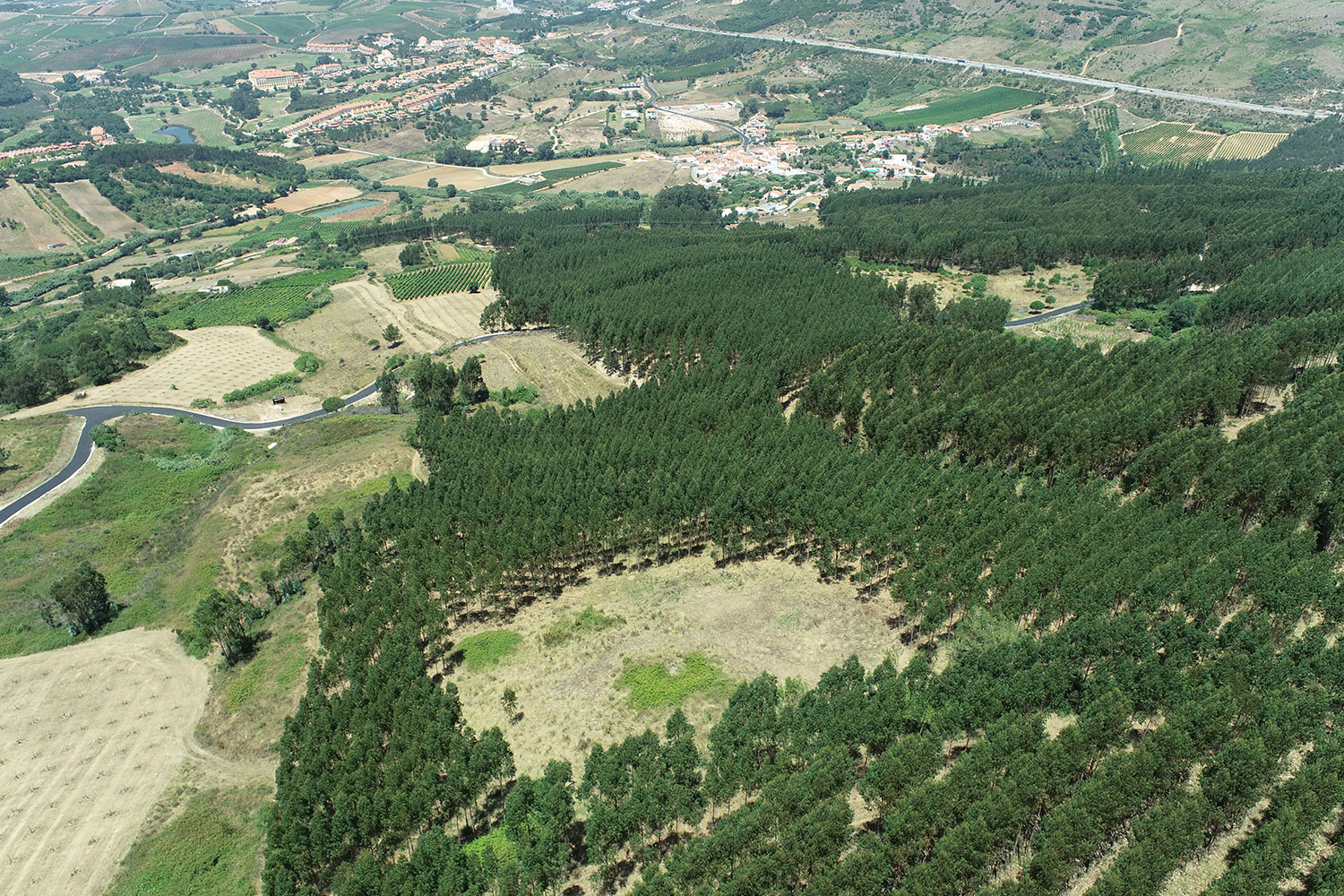 Estarão as pessoas mais afastadas ou mais próximas das florestas?