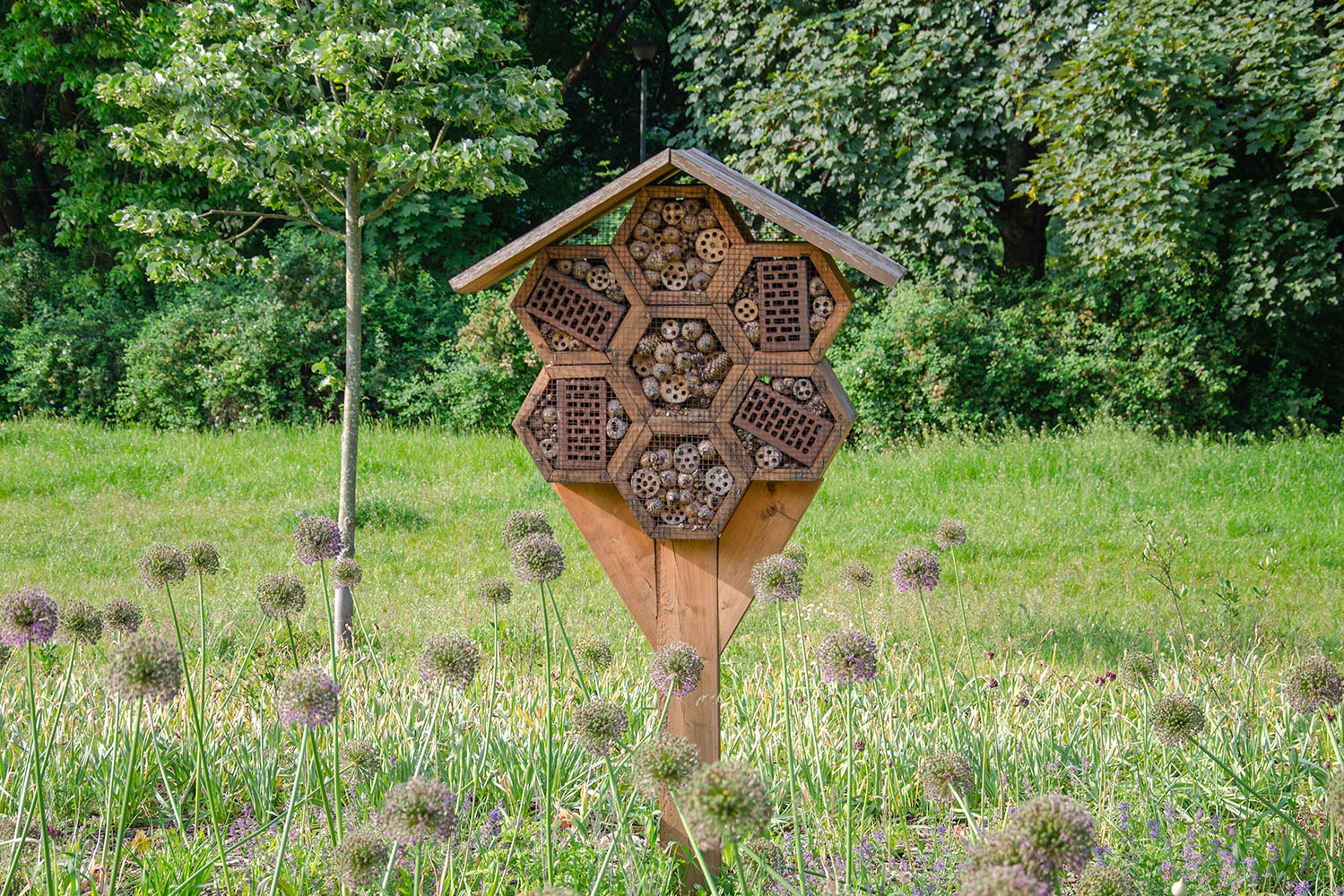 Soluções Baseadas na Natureza geram benefícios ecológicos e humanos