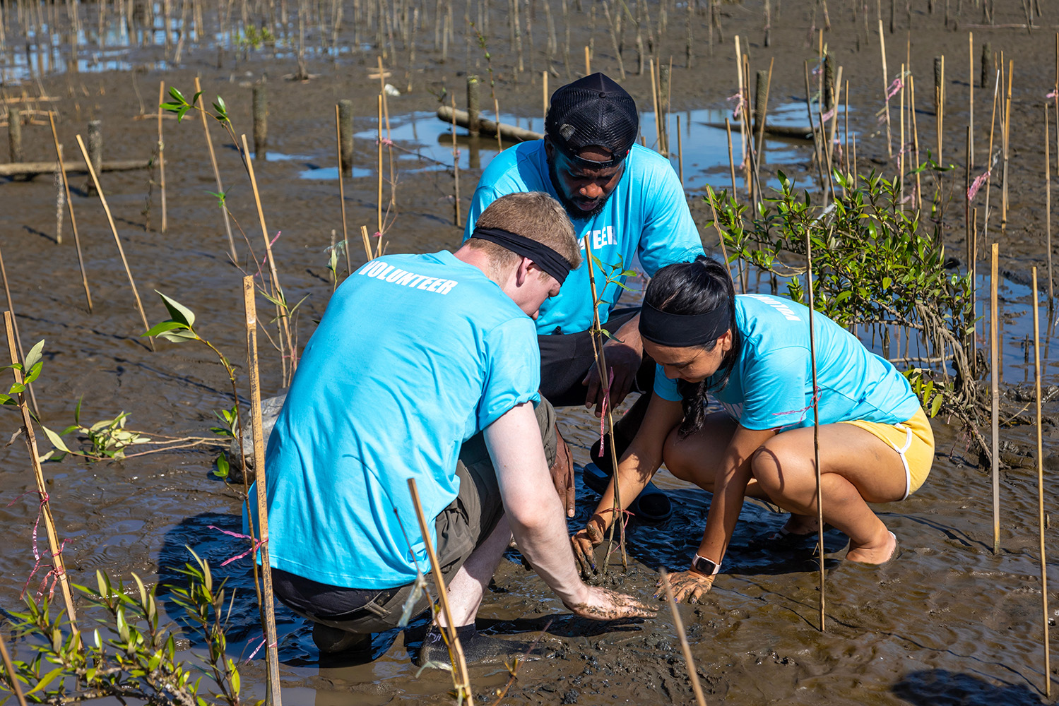 O envolvimento da comunidade é essencial nas Soluções Baseadas na Natureza