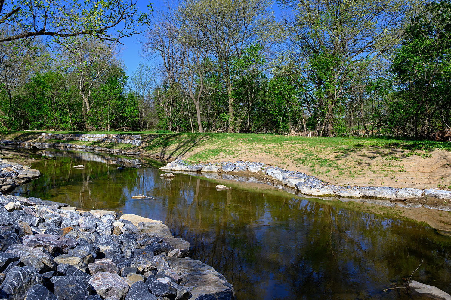 Soluções Baseadas na Natureza para restauro de rios e ribeiros