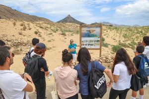 Life Dunas: um exemplo de Soluções Baseadas na Natureza na Madeira, Portugal