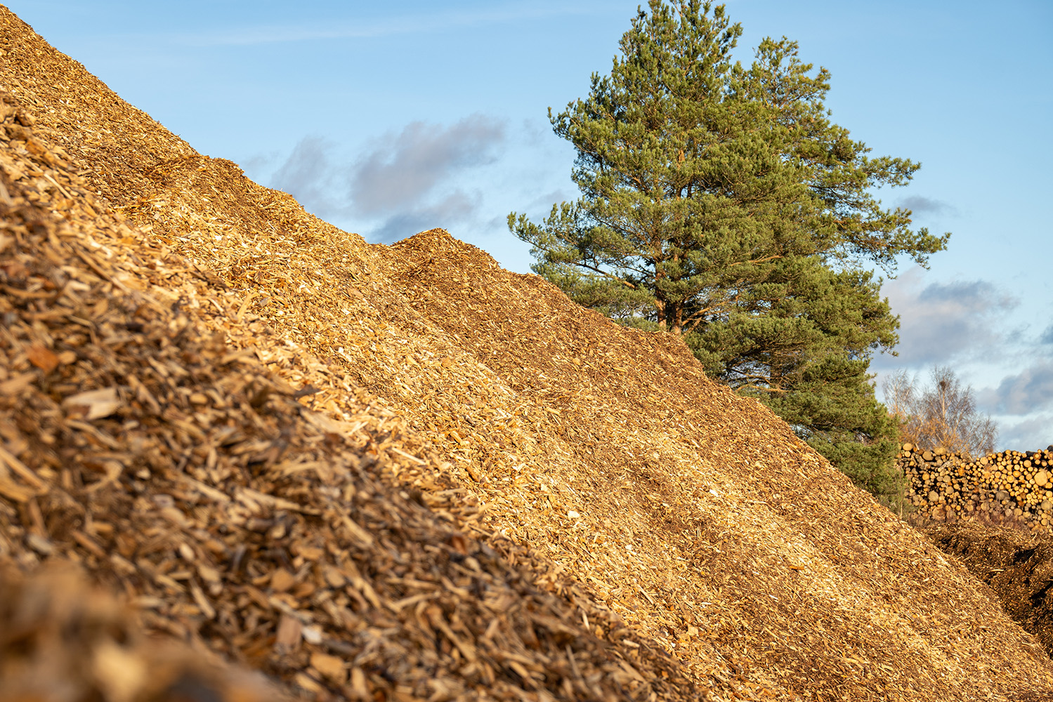 Estilhas para produção de papel