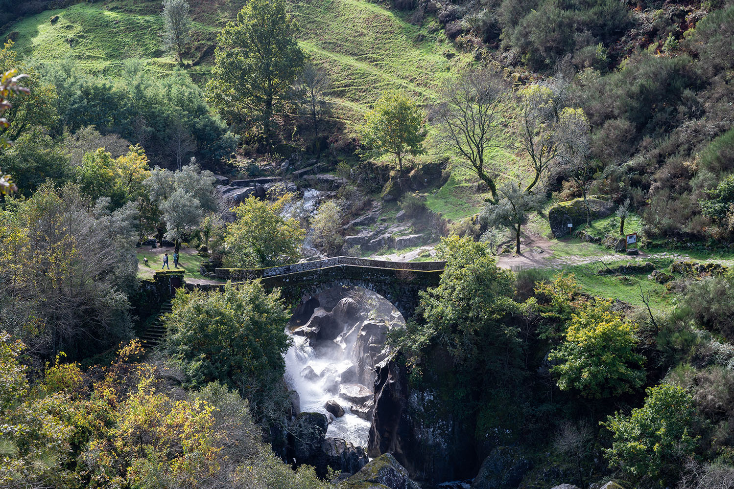 Interior_1_Realidade_Floresta_2025