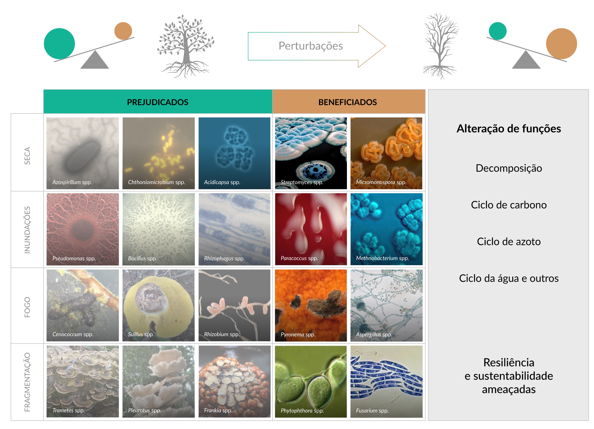 Quem é prejudicado e beneficiado pelas perturbações no solo