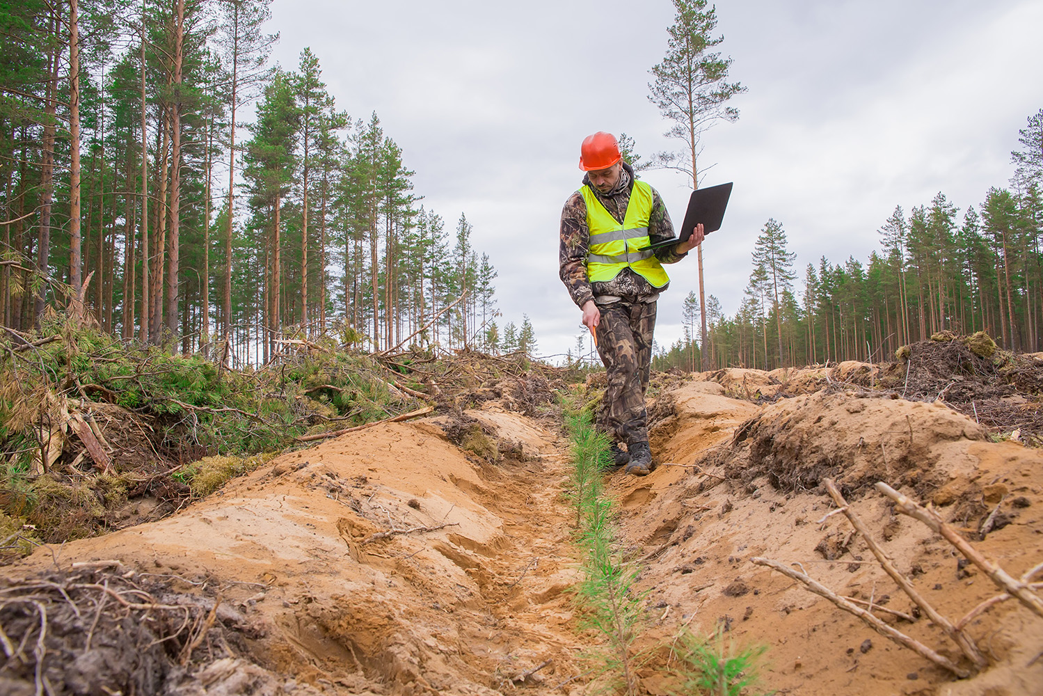 Interior_1_novas_florestacoes Interior_1_novas_florestacoes