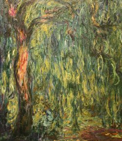 Interior_5_arvores_pintura_europeia