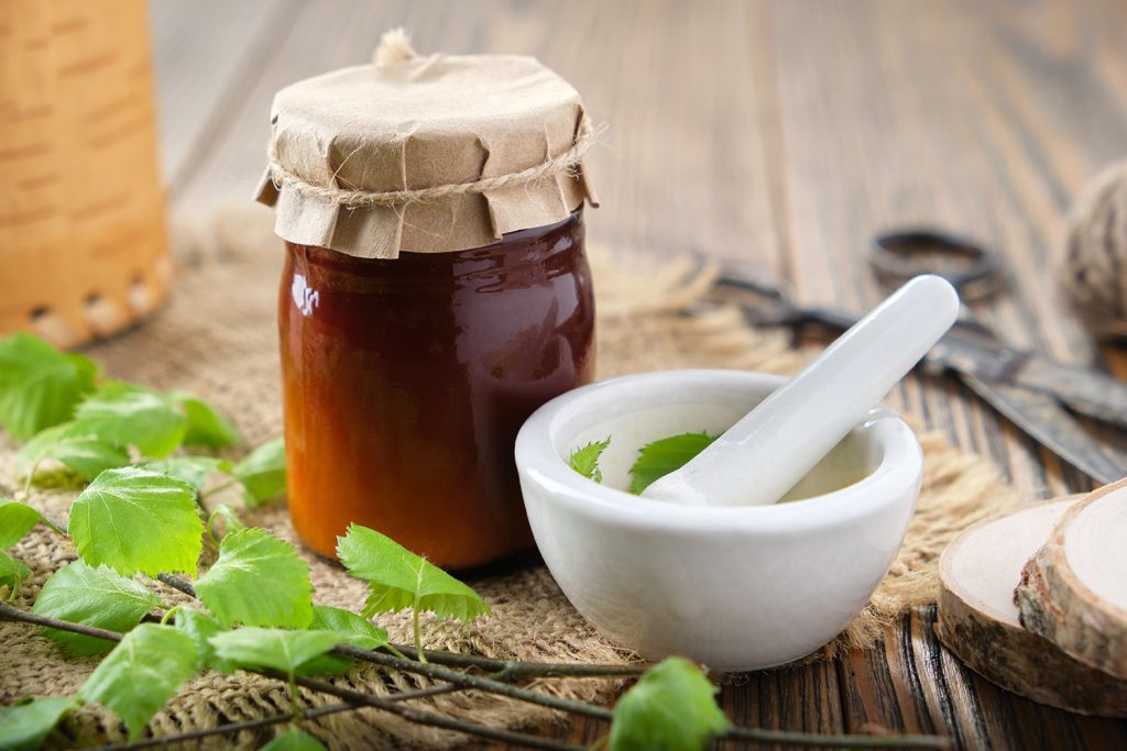 Benefícios e riscos da bétula