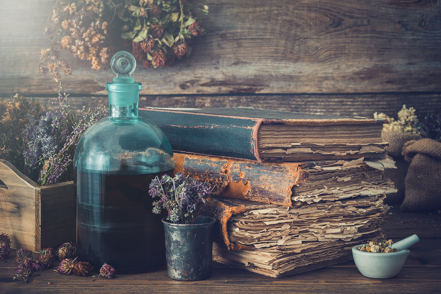 Conhecimento das propriedades medicinais das plantas foi inicialmente empírico