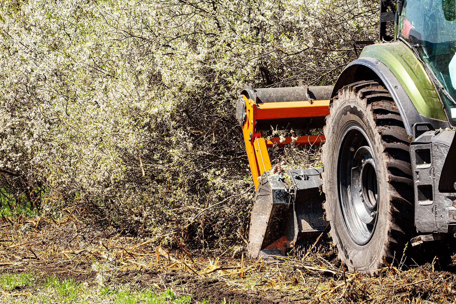 Compra de equipamentos florestais financiada até 60%