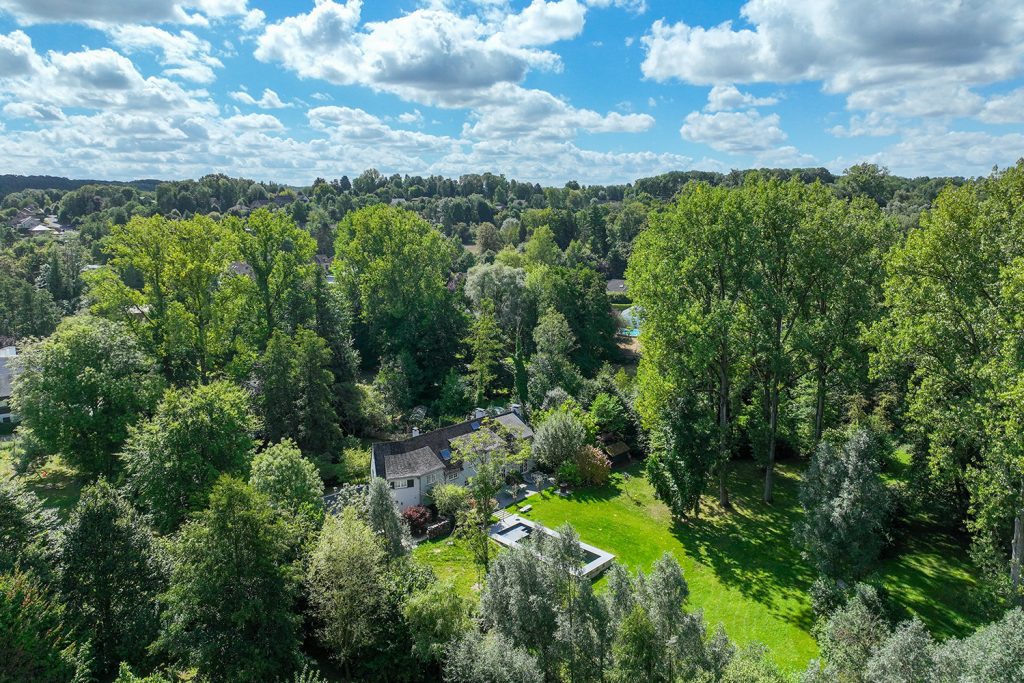 Valónia: a região belga com mais floresta