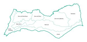 Quais são as espécies a privilegiar no Algarve, em ações de expansão ou reconversão florestal?