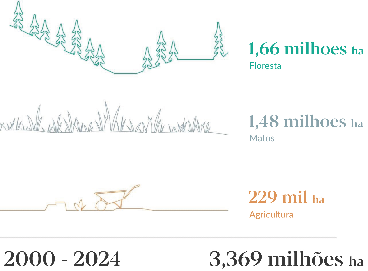 Maior área ardida ocorre em condições meteorológicas extremas