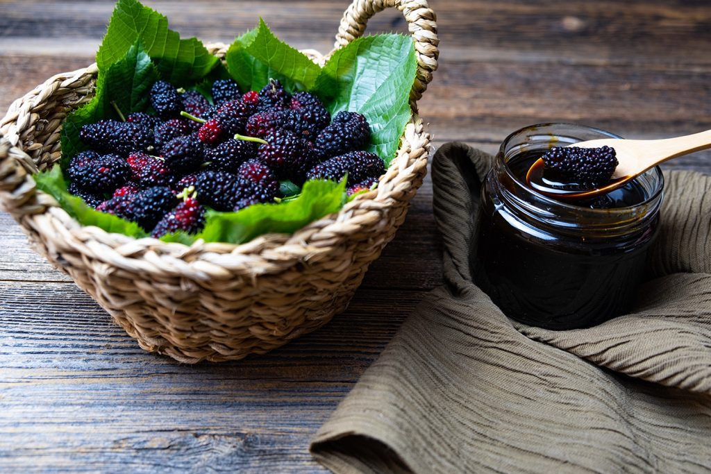 Amoras e seda: as principais fontes de valorização da amoreira