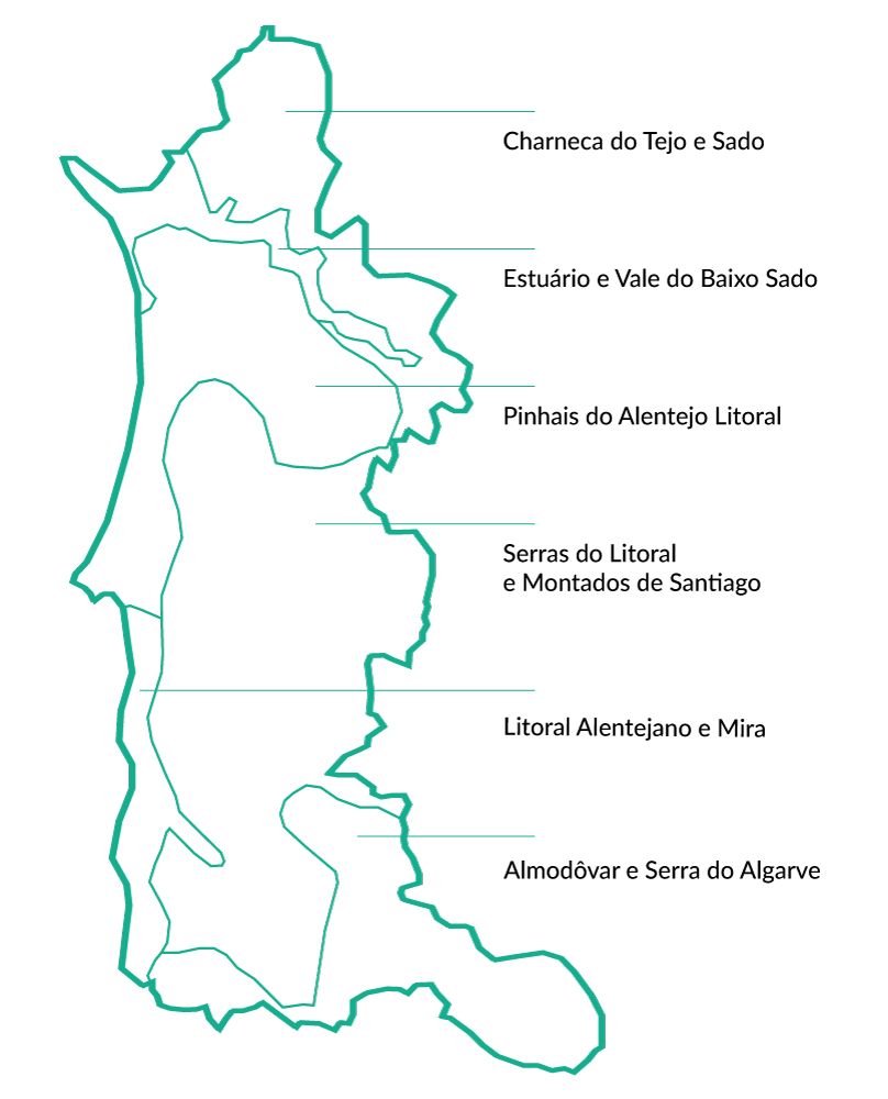 Quais são as espécies a privilegiar no litoral alentejano?