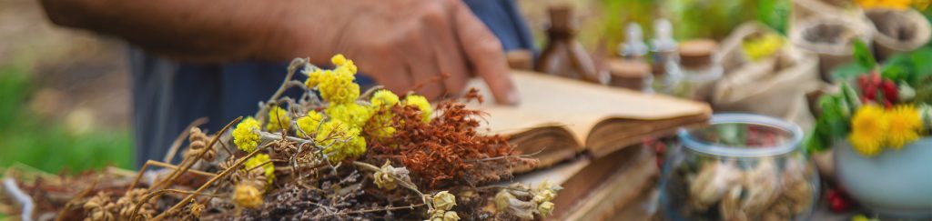 Fitoterapicos entre os produtos à base de plantas