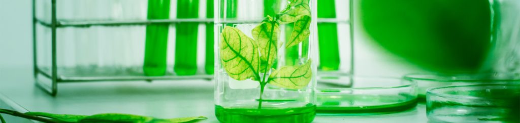 O que distingue os medicamentos inspirados nas plantas dos medicamentos à base de plantas