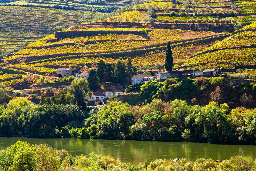 Projeto EcoVitis, nas vinhas do Douro