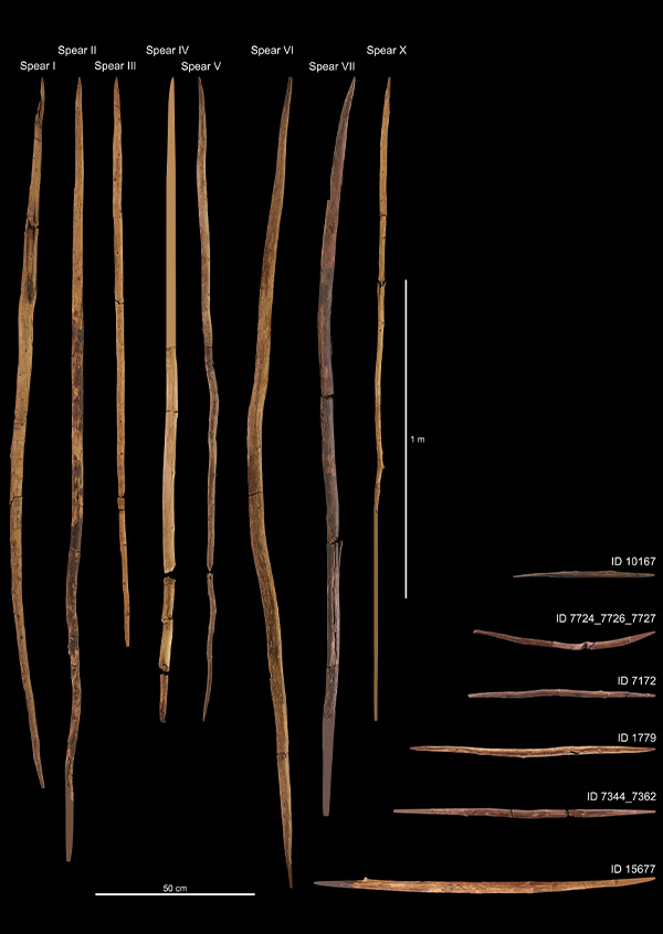 Lanças e bastões de madeira, com cerca de 300 mil anos Lanças e bastões de madeira, com cerca de 300 mil anos