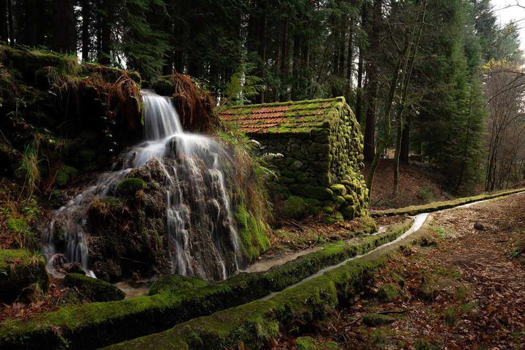 Levadas do norte de Portugal: ao som da água, à sombra do arvoredo