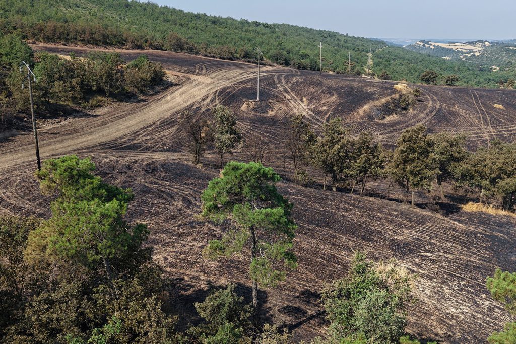 Quando os extremos se combinam: seca, calor e incêndios