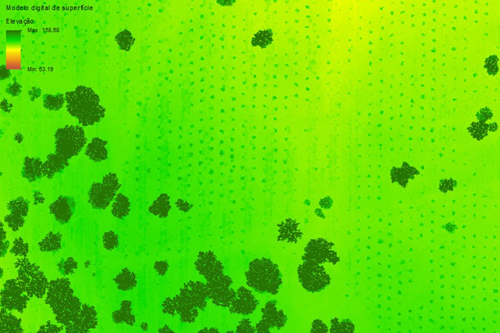 Exemplo de modelo digital de superfície obtido por LiDAR
